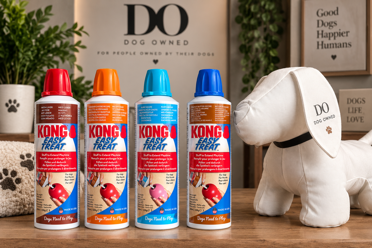 Kong Easy Treat